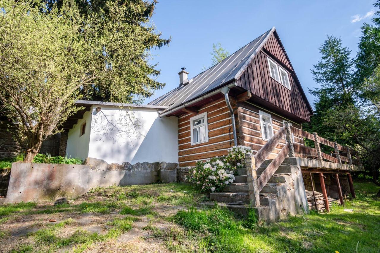Appartement Roubenka Mustelka à Rokytnice nad Jizerou Extérieur photo