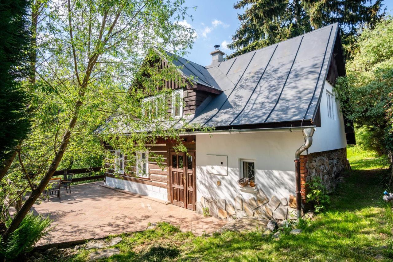 Appartement Roubenka Mustelka à Rokytnice nad Jizerou Extérieur photo