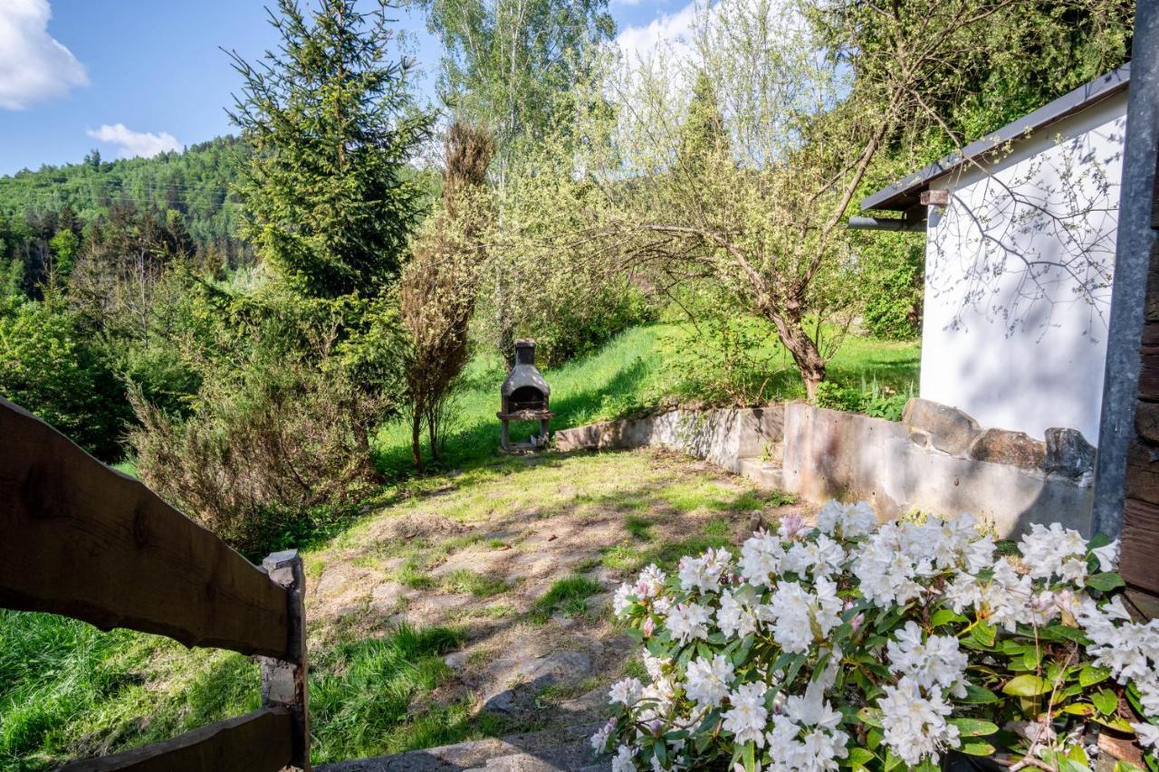 Appartement Roubenka Mustelka à Rokytnice nad Jizerou Extérieur photo